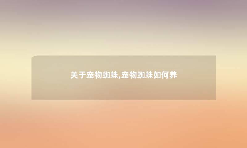 关于宠物蜘蛛,宠物蜘蛛如何养