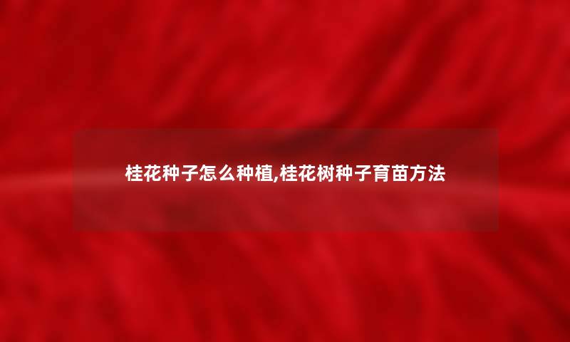 桂花种子怎么种植,桂花树种子育苗方法
