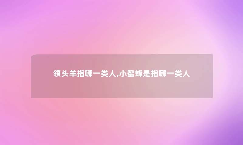领头羊指哪一类人,小蜜蜂是指哪一类人