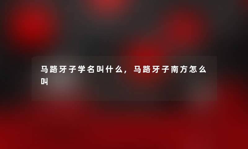 马路牙子学名叫什么,马路牙子南方怎么叫