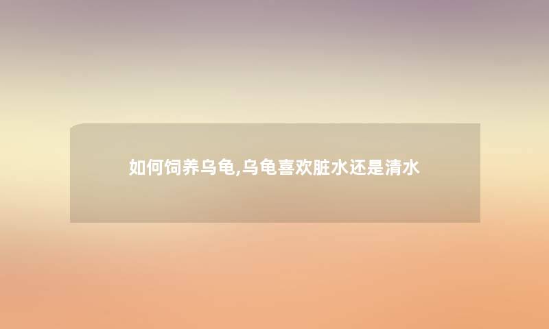 如何饲养乌龟,乌龟喜欢脏水还是清水
