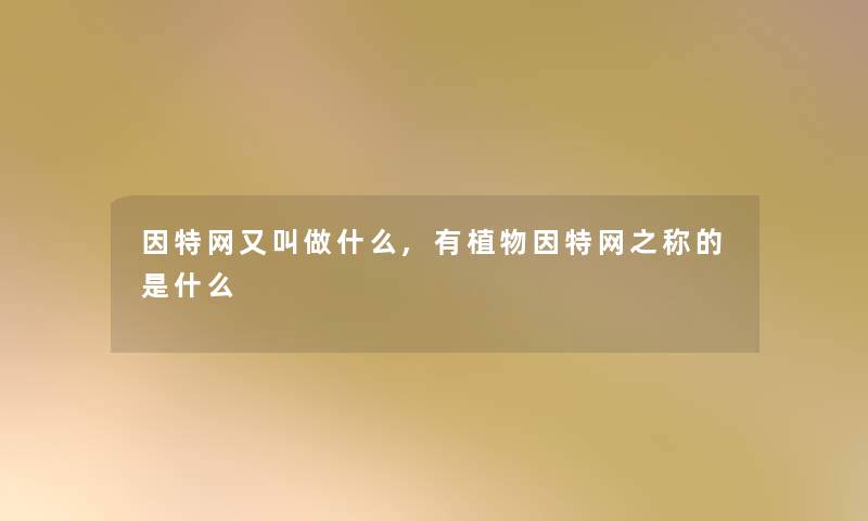 因特网又叫做什么,有植物因特网之称的是什么