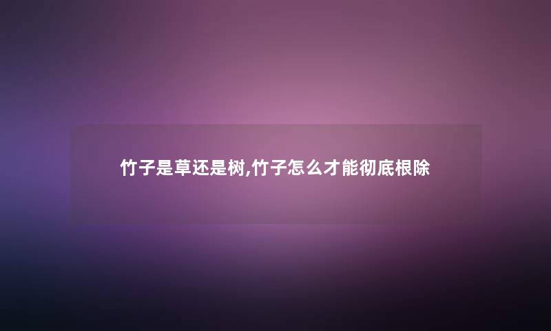 竹子是草还是树,竹子怎么才能彻底根除