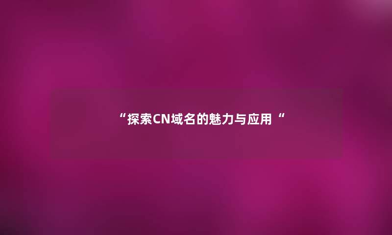 探索CN域名的魅力与应用