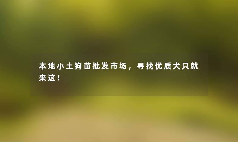 本地小土狗苗批发市场，寻找优质犬只就来这！