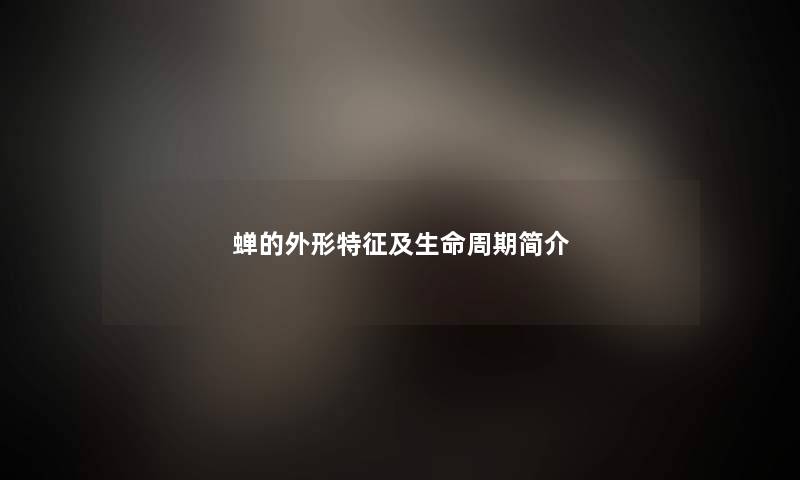 蝉的外形特征及生命周期简介