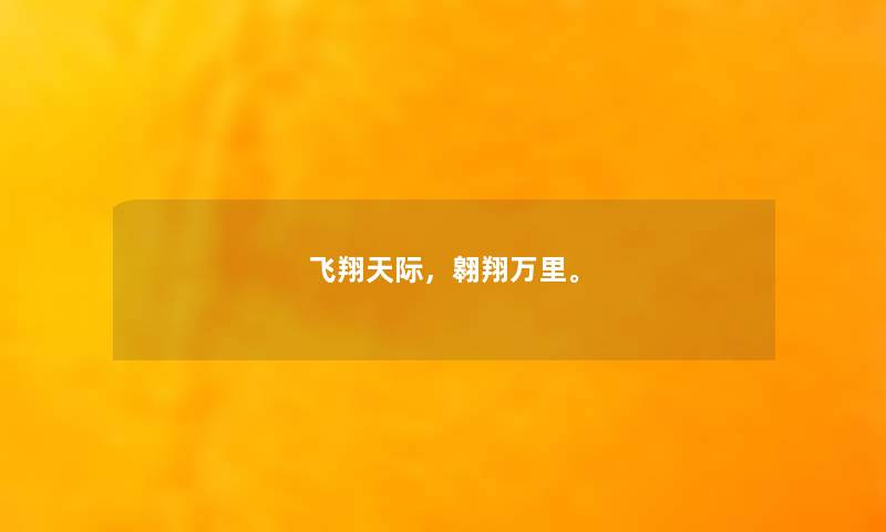 飞翔天际，翱翔万里。