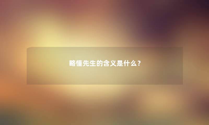 略懂先生的含义是什么？