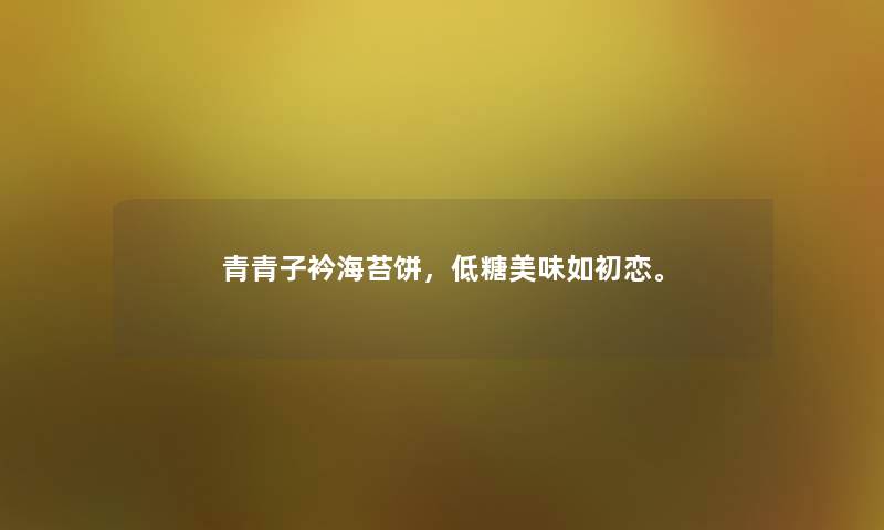 青青子衿海苔饼，低糖美味如初恋。