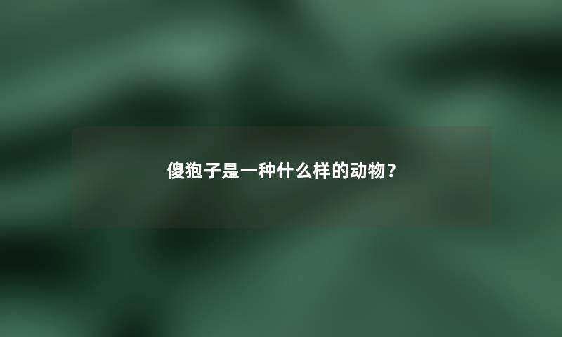 傻狍子是一种什么样的动物？