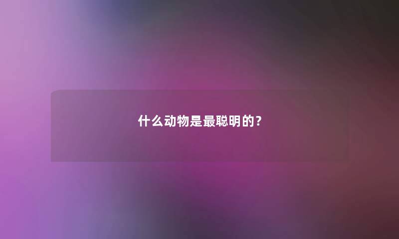 什么动物是聪明的？