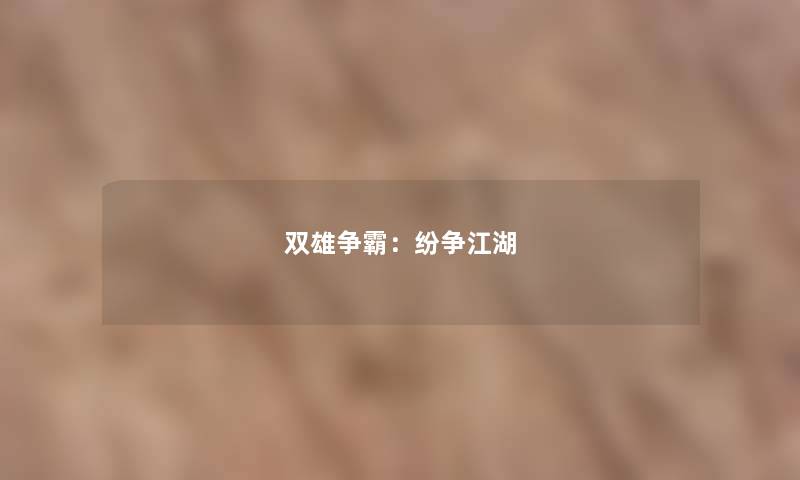 双雄争霸：纷争江湖