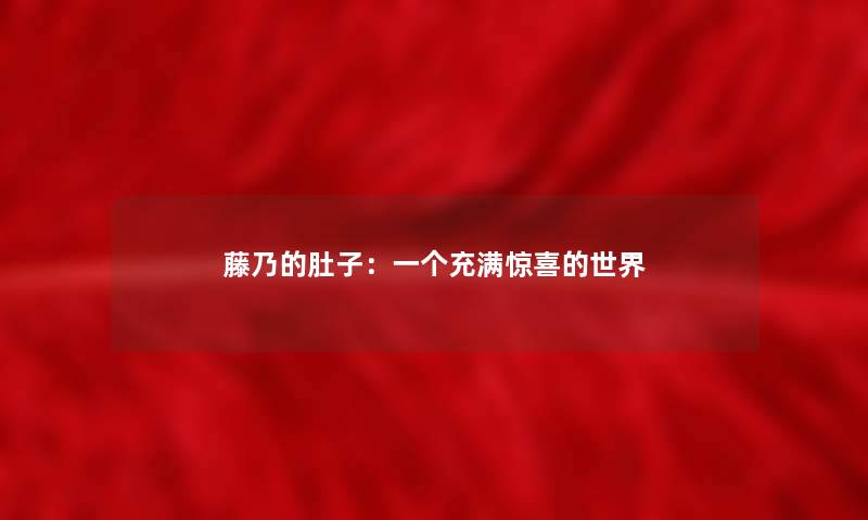藤乃的肚子：一个充满惊喜的世界
