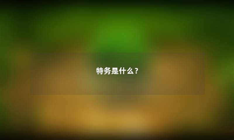特务是什么？