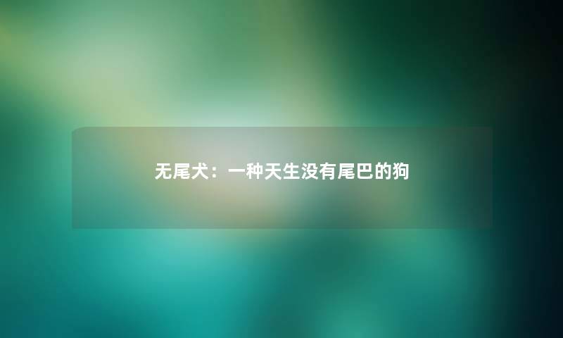 无尾犬：一种天生没有尾巴的狗