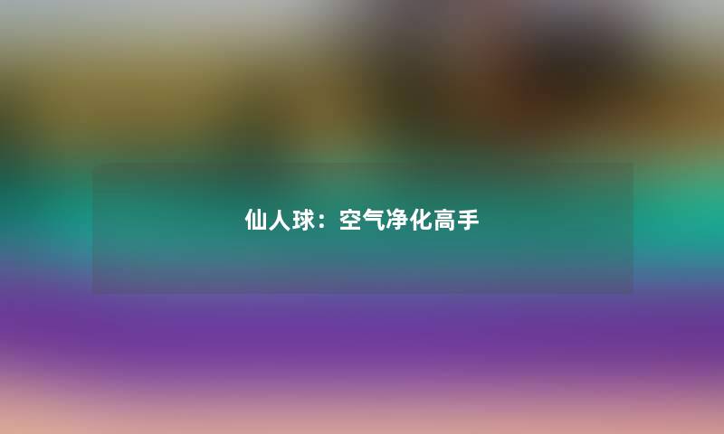 仙人球：空气净化高手
