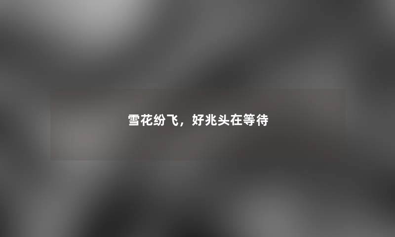 雪花纷飞，好兆头在等待