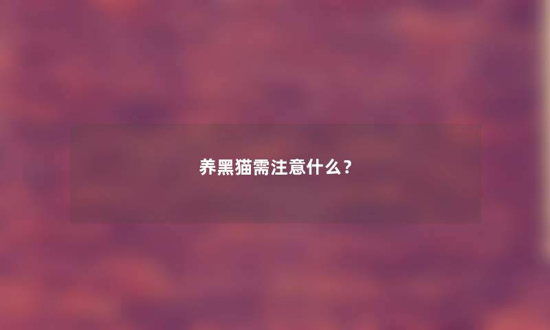 养黑猫需注意什么？