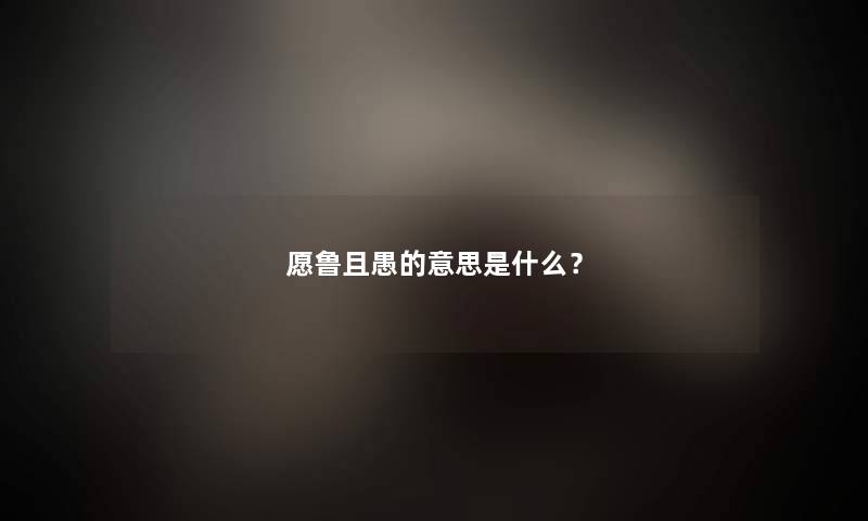 愿鲁且愚的意思是什么？