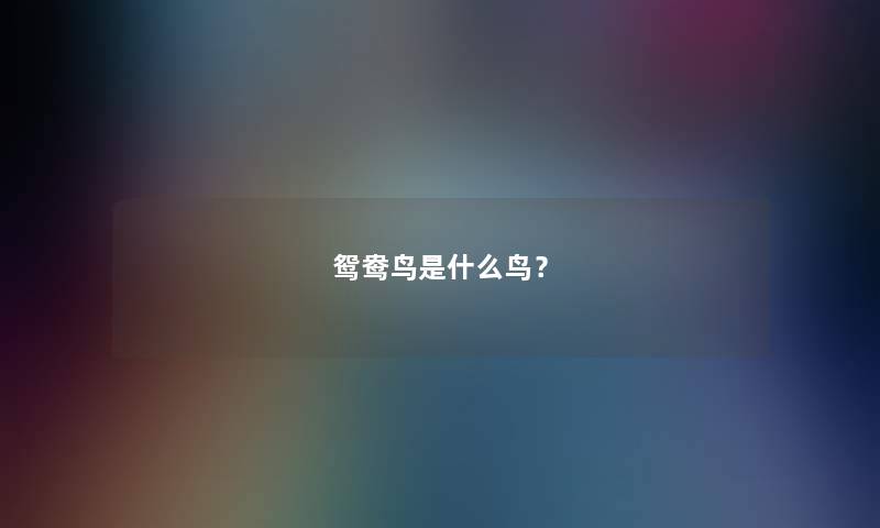 鸳鸯鸟是什么鸟？