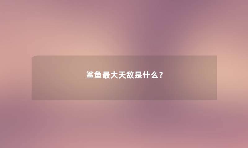 鲨鱼大天敌是什么？
