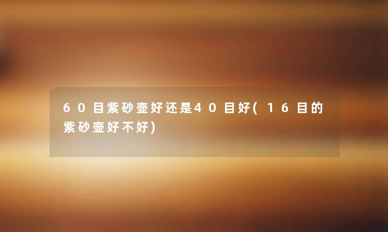 60目紫砂壶好还是40目好(16目的紫砂壶好不好)