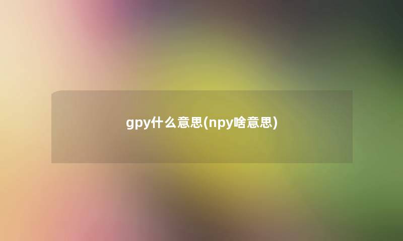 gpy什么意思(npy啥意思)