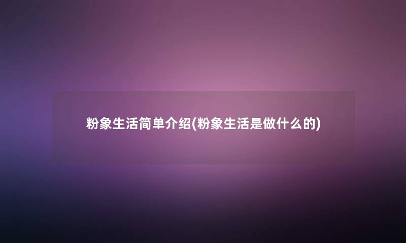粉象生活简单介绍(粉象生活是做什么的)