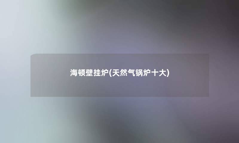 海顿壁挂炉(天然气锅炉一些)