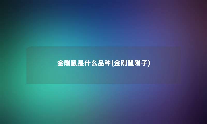 金刚鼠是什么品种(金刚鼠刚子)