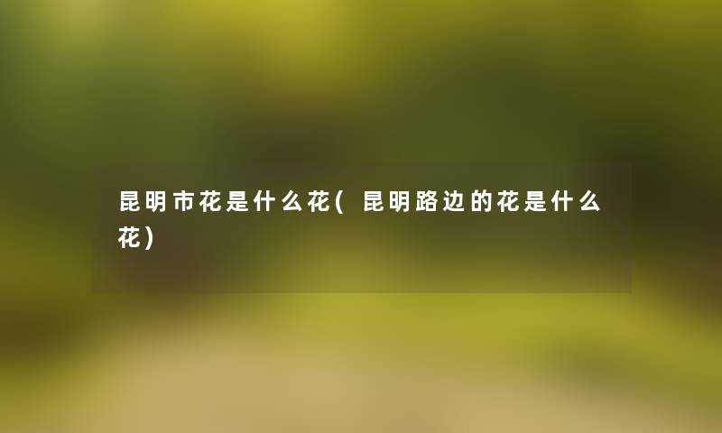 昆明市花是什么花(昆明路边的花是什么花)