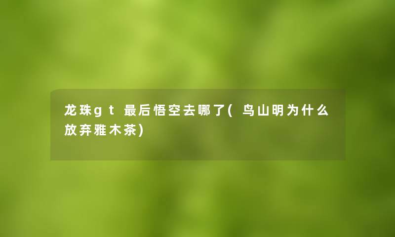 龙珠gt后悟空去哪了(鸟山明为什么放弃雅木茶)