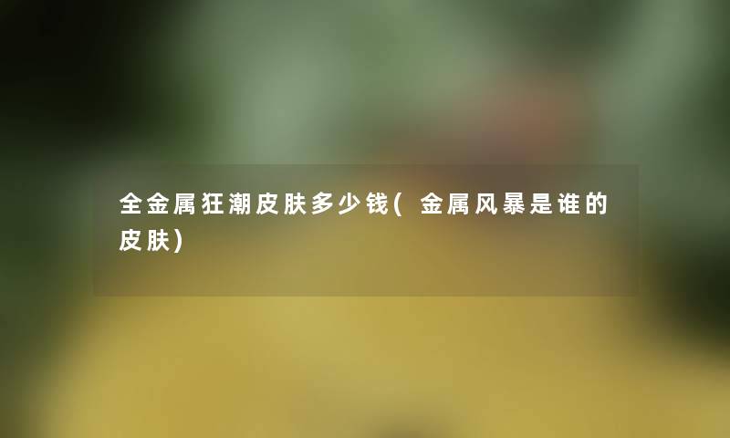 全金属狂潮皮肤多少钱(金属风暴是谁的皮肤)