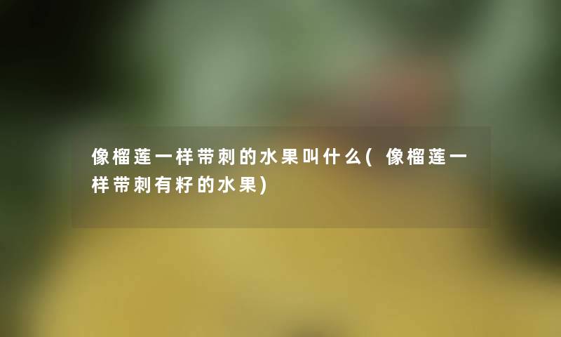 像榴莲一样带刺的水果叫什么(像榴莲一样带刺有籽的水果)