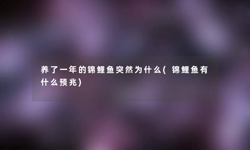 养了一年的锦鲤鱼突然为什么(锦鲤鱼有什么预兆)