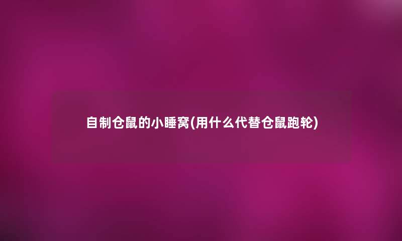 自制仓鼠的小睡窝(用什么代替仓鼠跑轮)