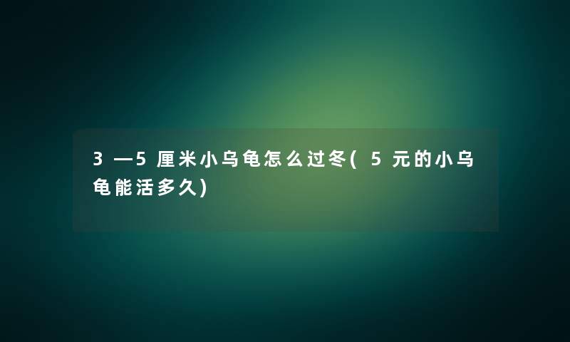 3―5厘米小乌龟怎么过冬(5元的小乌龟能活多久)