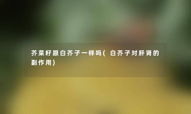 芥菜籽跟白芥子一样吗(白芥子对肝肾的副作用)