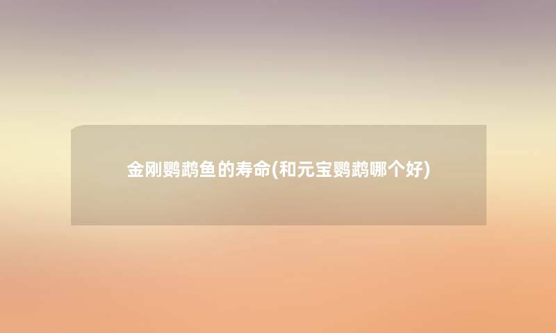 金刚鹦鹉鱼的寿命(和元宝鹦鹉哪个好)