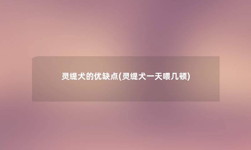 灵缇犬的优缺点(灵缇犬一天喂几顿)