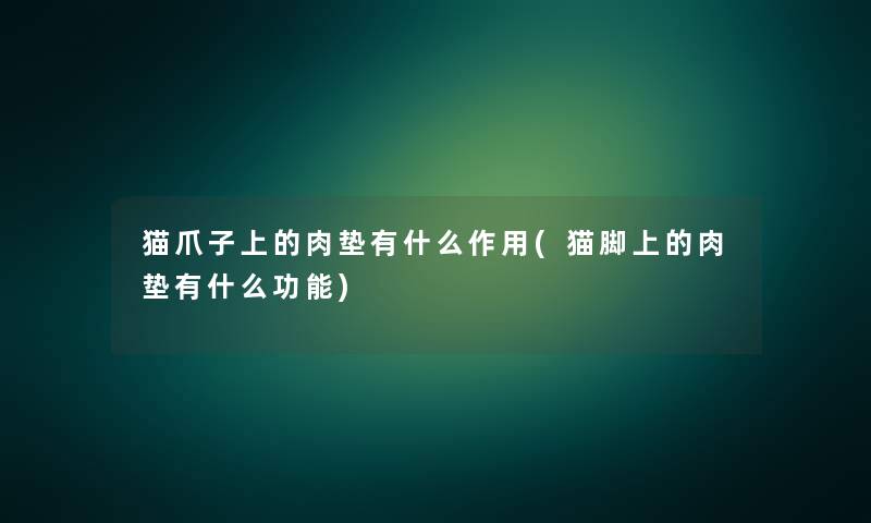 猫爪子上的肉垫有什么作用(猫脚上的肉垫有什么功能)