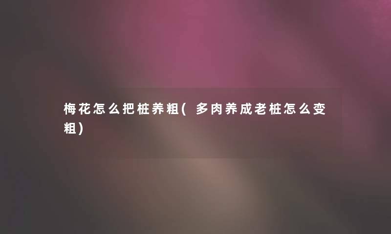 梅花怎么把桩养粗(多肉养成老桩怎么变粗)