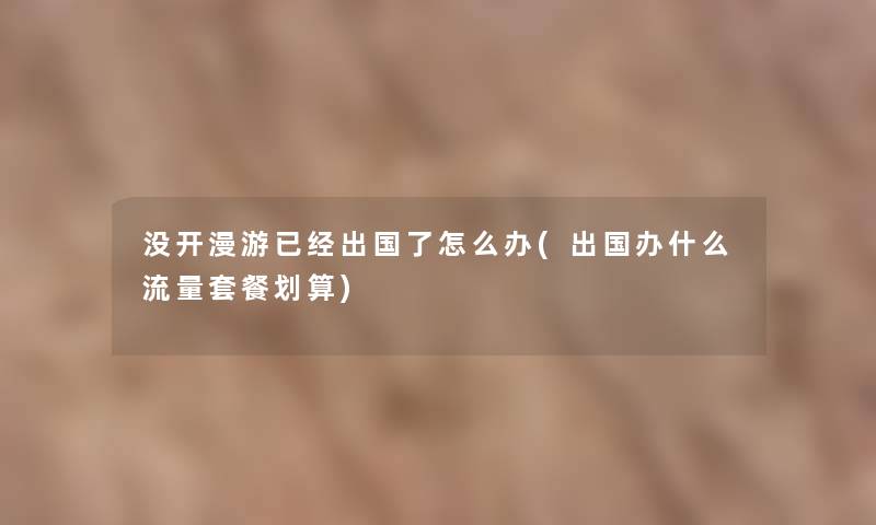 没开漫游已经出国了怎么办(出国办什么流量套餐划算)