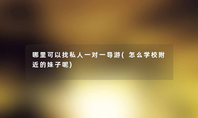 哪里可以找私人一对一导游(怎么学校附近的妹子呢)
