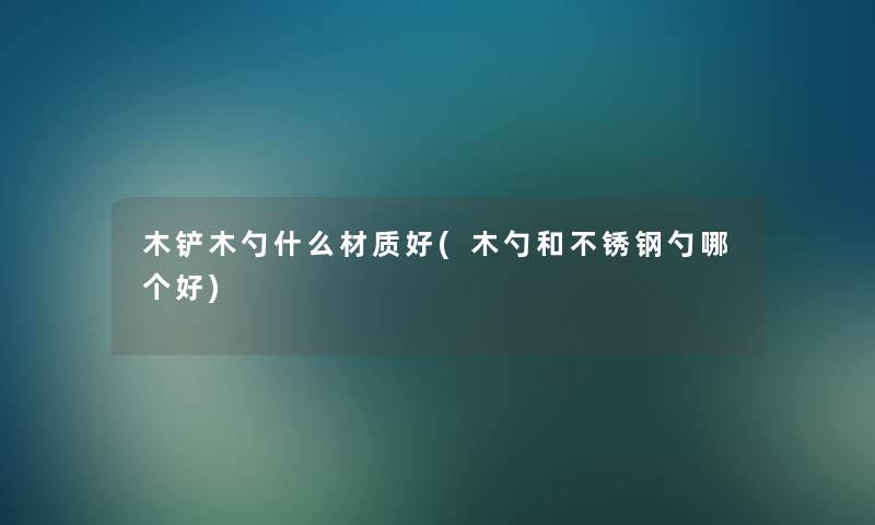 木铲木勺什么材质好(木勺和不锈钢勺哪个好)