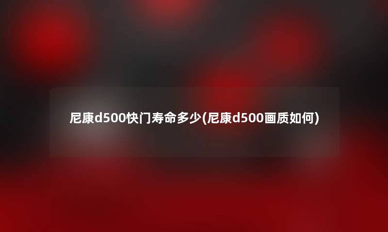 尼康d500快门寿命多少(尼康d500画质如何)