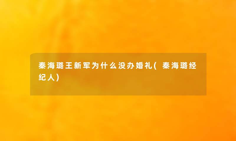 秦海璐王新军为什么没办婚礼(秦海璐经纪人)