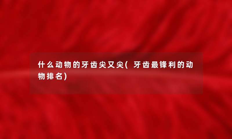 什么动物的牙齿尖又尖(牙齿锋利的动物推荐)