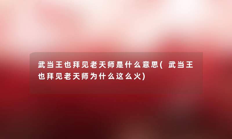 武当王也拜见老天师是什么意思(武当王也拜见老天师为什么这么火)