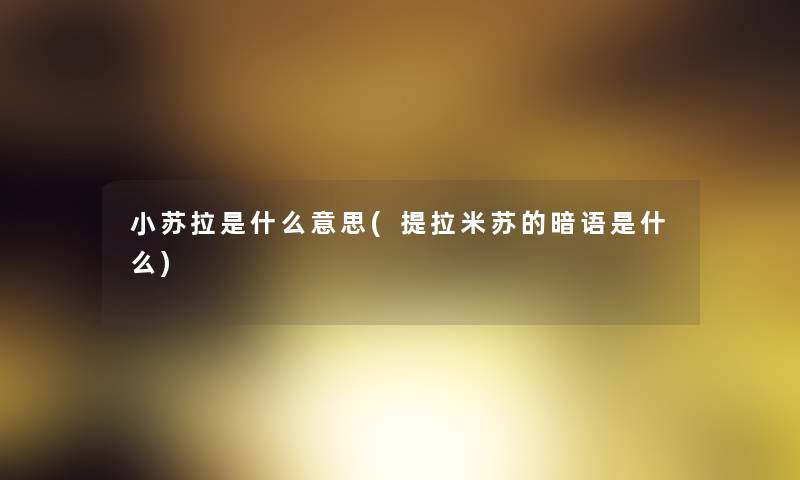小苏拉是什么意思(提拉米苏的暗语是什么)